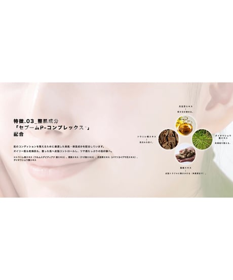 V3 エキサイティング ファンデーション 15g