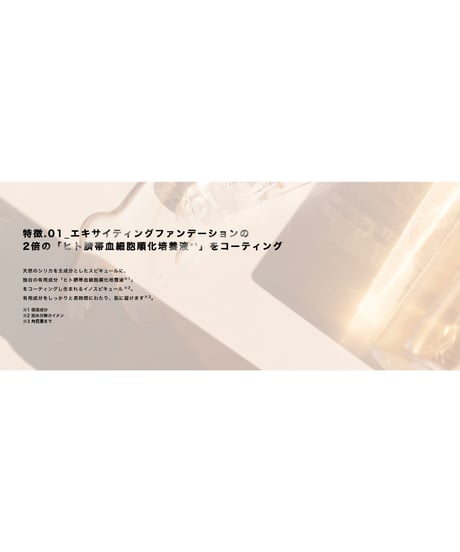 V3 シャイニング ファンデーション 15g