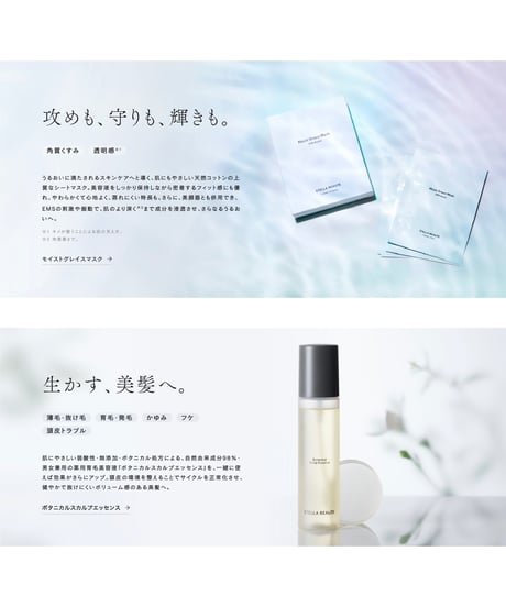 STELLA BEAUTE　レーザー＆EMSリフトブラシ PRO 2.0 （ステラボーテ ）
