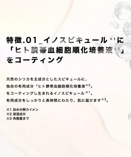 V3 エキサイティング ファンデーション 15g
