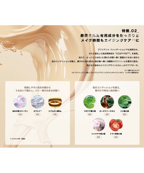 V3 インテリジェントファンデーション 15g