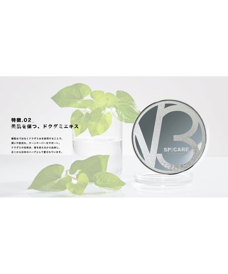 V3 シャイニング ファンデーション 15g