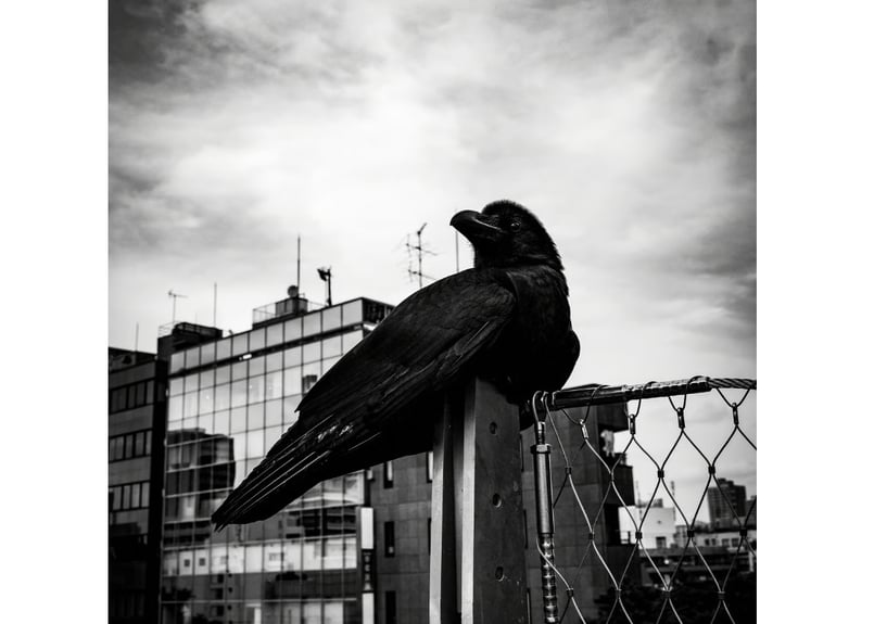 写真プリント作品 （Size: A4〜A3ノビ） | Hiroaki Konishi STORE