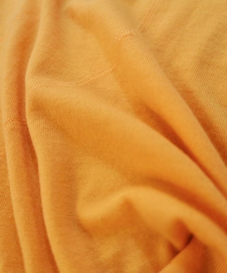 Seamline Turtleneck Knit