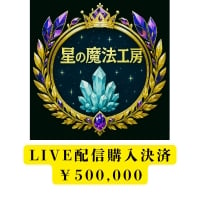 ライブ配信購入決済用 \500,000