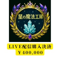 ライブ配信購入決済用\400,000