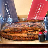 炭火手焼き 薩摩本格うなぎ2尾（2〜4人前）