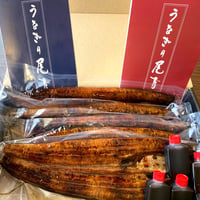 炭火手焼き 薩摩本格うなぎ5尾（5〜10人前）
