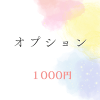 オプション1000円