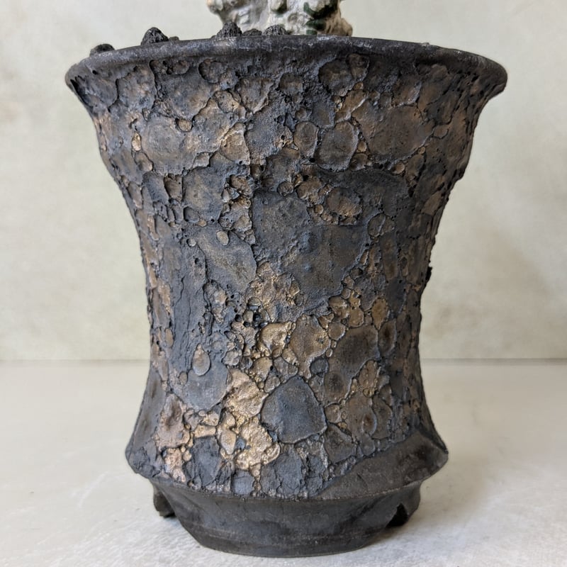 アデニア・ステイローサ 【現地球】×【銀河鉢クレーター】 陶芸