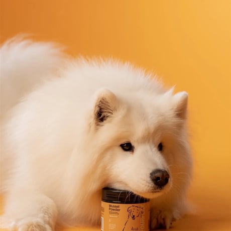 FOURFLAX ニュージーランド グリーン・マッスル パウダー（犬猫兼用）