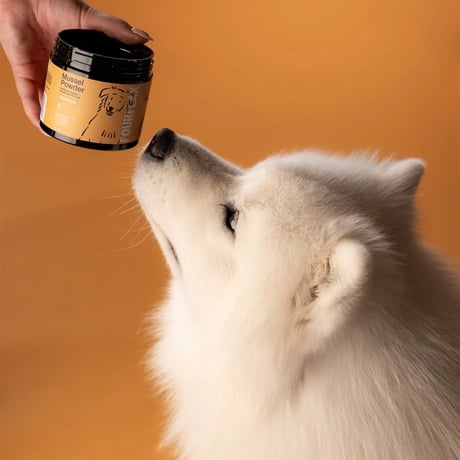 FOURFLAX ニュージーランド グリーン・マッスル パウダー（犬猫兼用）