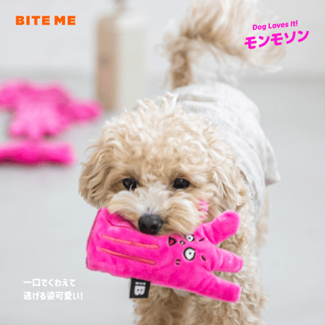 BITE ME　ゴム手袋ノーズワークおもちゃ