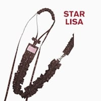 ［littlesara］star リード