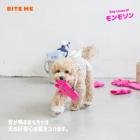 BITE ME　ゴム手袋ノーズワークおもちゃ