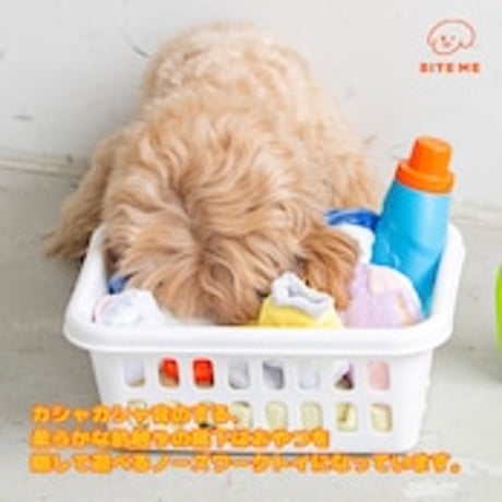 BITE ME　靴下おもちゃセット（3枚セット）