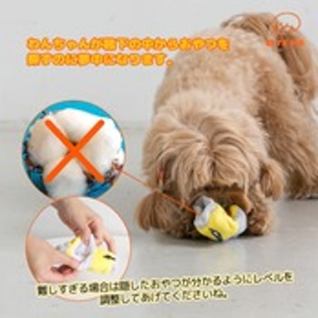 BITE ME　靴下おもちゃセット（3枚セット）