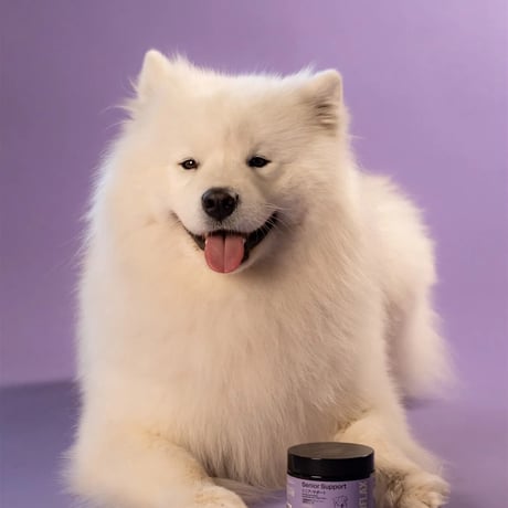 FOURFLAX シニア・サポート（犬猫兼用サプリメント）