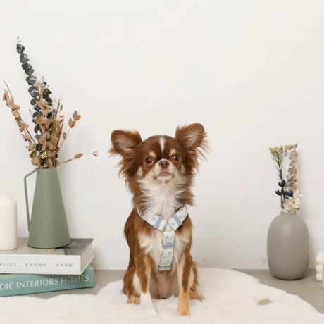 ギンガムチェックいちごハーネス