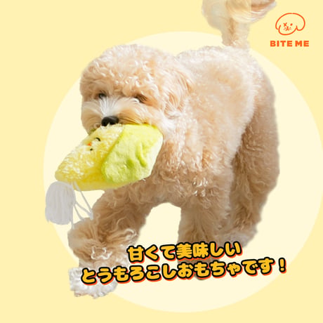 BITE ME　農産物おもちゃ　トウモロコシ