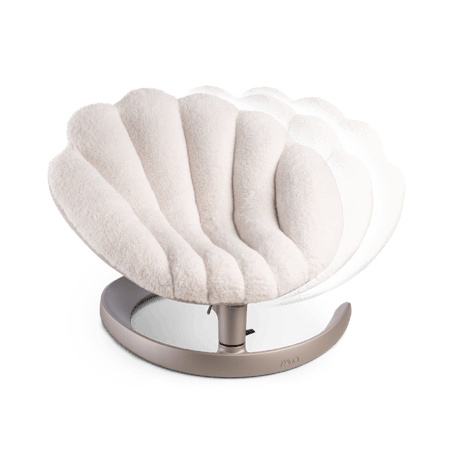 Shell