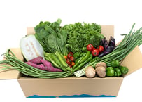旬の野菜の詰め合わせ（大）10～13品