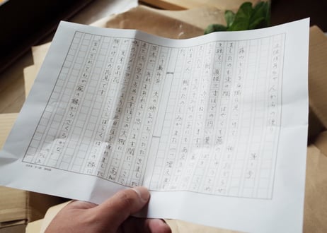 旬の野菜の詰め合わせ（小）8～10品