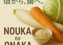 【単発】腸活セット