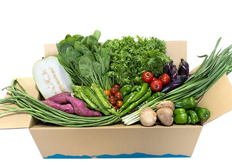 【定期便】旬の野菜の詰め合わせ（大）10～13品
