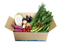 【定期便】旬の野菜の詰め合わせ（小）8～10品