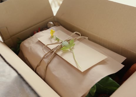 【定期便】旬の野菜の詰め合わせ（大）10～13品