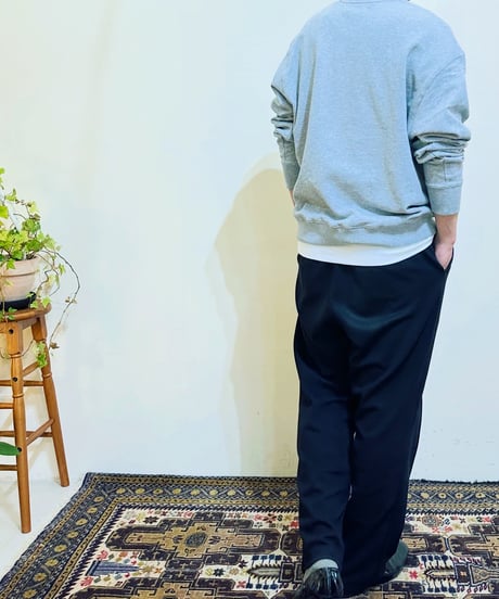 DUALVOICE ハーフジップスウェット