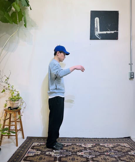 DUALVOICE ハーフジップスウェット