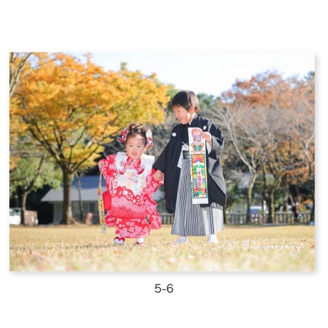 七五三05_ボードライト_A4_12p
