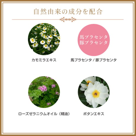 【SALE】　【送料無料】＜今話題のぼたん油 馬油シリーズ＞BOTAN　EX　CREAM＜ボタンエクストラクリーム＞　（イノシシ油・馬、豚プラセンタ・ボタンエキス配合）内容量30ｍl
