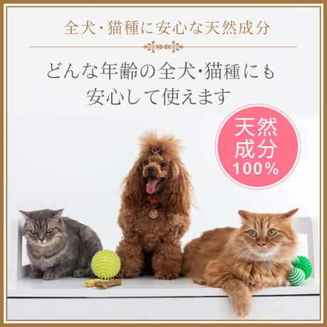 ＜今話題のぼたん油 馬油シリーズ＞犬・猫用保湿クリーム【BOTAN PAW CREAM24g×１個】犬用 ミツロウクリーム 肉球 無添加 舐めても安心安全 肉球クリーム 小型犬イノシシ油