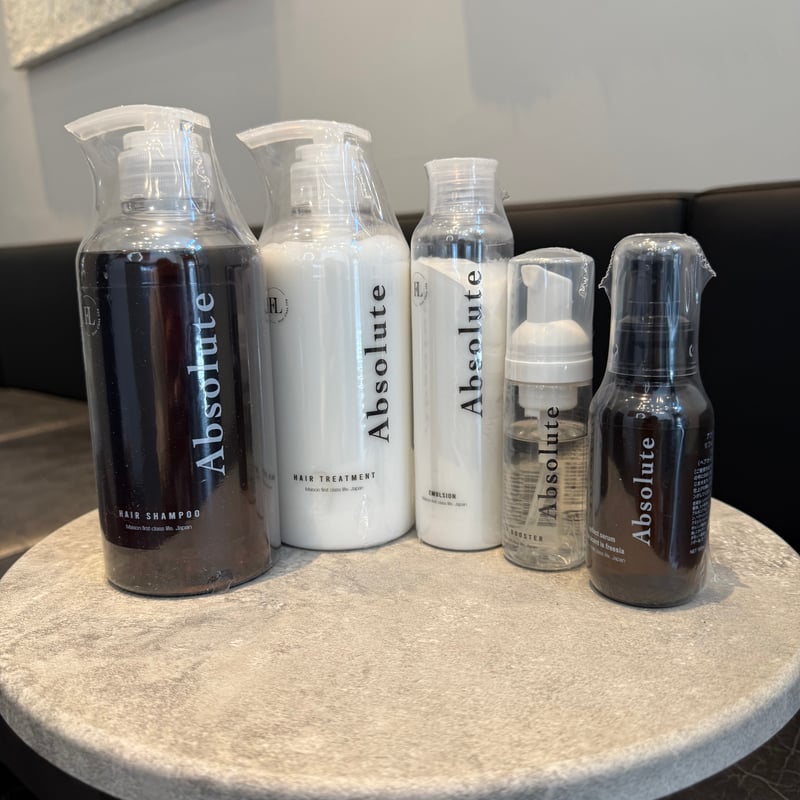 Absolute ヘアトリートメント 髪質改善サロンの発想ホームケア Absolute（アブソリュート） | 乾かす