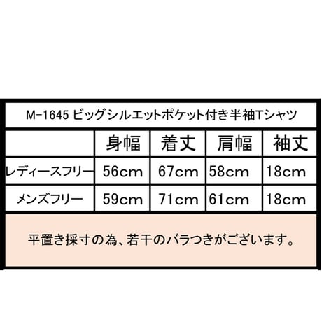 オーガニックコットン100％　テラヘルツ鉱石プリント加工　シリカ加工　ビッグシルエットポケット付き半袖Tシャツ