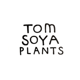 Tom 草ya Plants