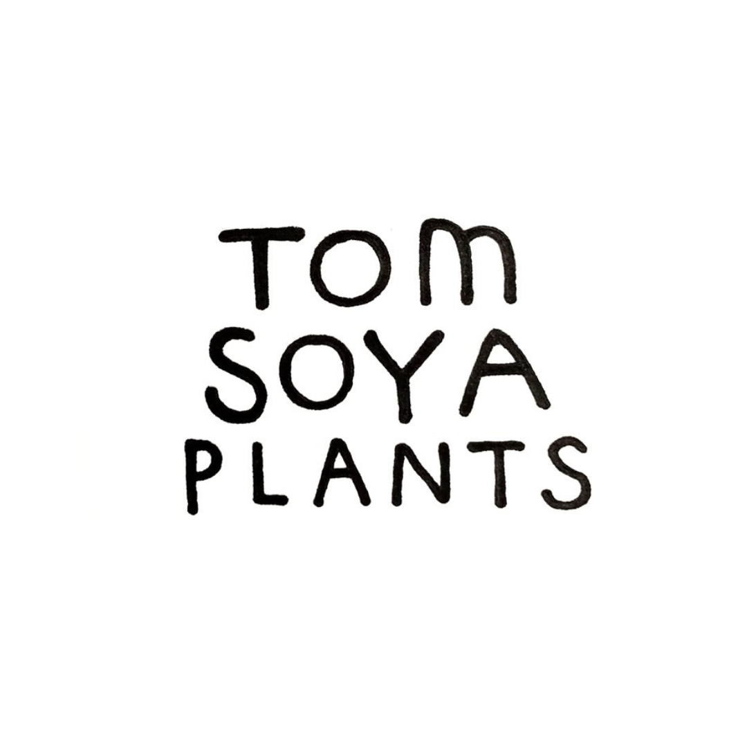Tom 草ya Plants