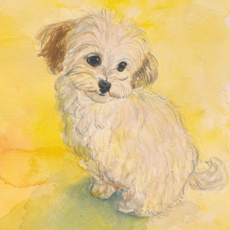 ベーシックプラン小サイズわんちゃん水彩画 | 犬の水彩画オーダー専門