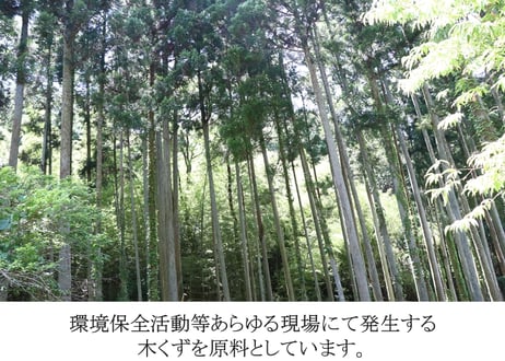 木から生まれたやさしいまくらカバー 純国産  アレルギー・アトピー対策 木から生まれたアレルギーフリーの自然素材生地「沐布」使用