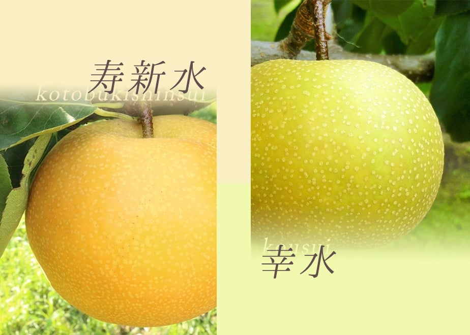 686e077a921a70124e531b4d