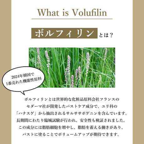 ボルフィリンジェル80　顔・首のシワ改善/バストアップ　50ml