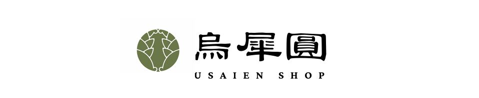 USAIEN Shop