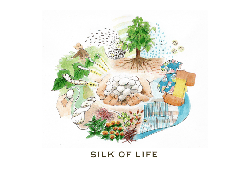 養蚕農家とつくった、蚕の糞の蚕沙（さんしゃ）クッキー | SILK OF