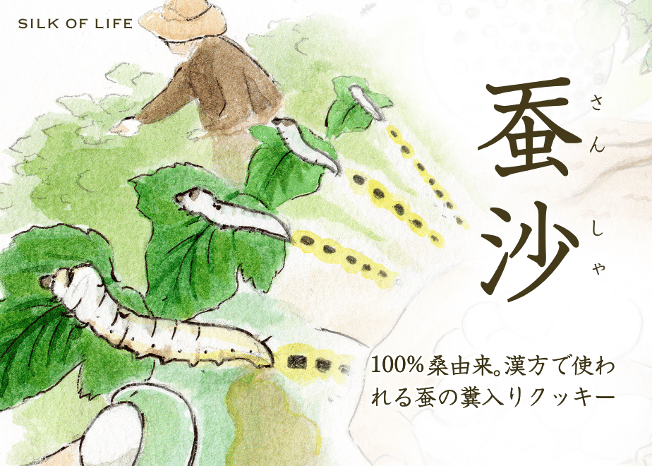 養蚕農家とつくった、蚕の糞の蚕沙（さんしゃ）クッキー | SILK OF