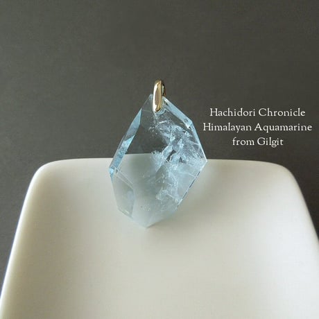 CATEGORY ヒマラヤアクアマリン | ハチドリ クロニクル