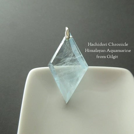CATEGORY ヒマラヤアクアマリン | ハチドリ クロニクル