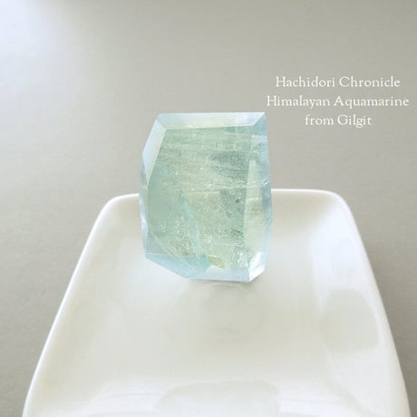 CATEGORY ヒマラヤアクアマリン | ハチドリ クロニクル